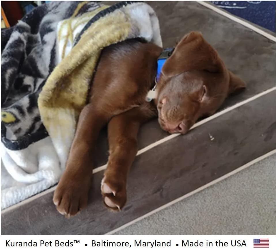 Miniatura 5 de Kuranda Funda Microsuede - Grande - 40" x 25" - Microsuede - Smoke