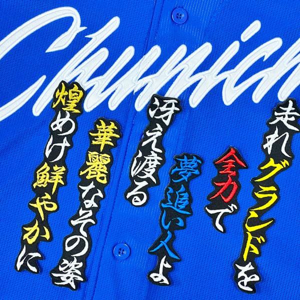 Amazon.co.jp: 中日ドラゴンズ 刺繍ワッペン 田中 幹也 応援歌