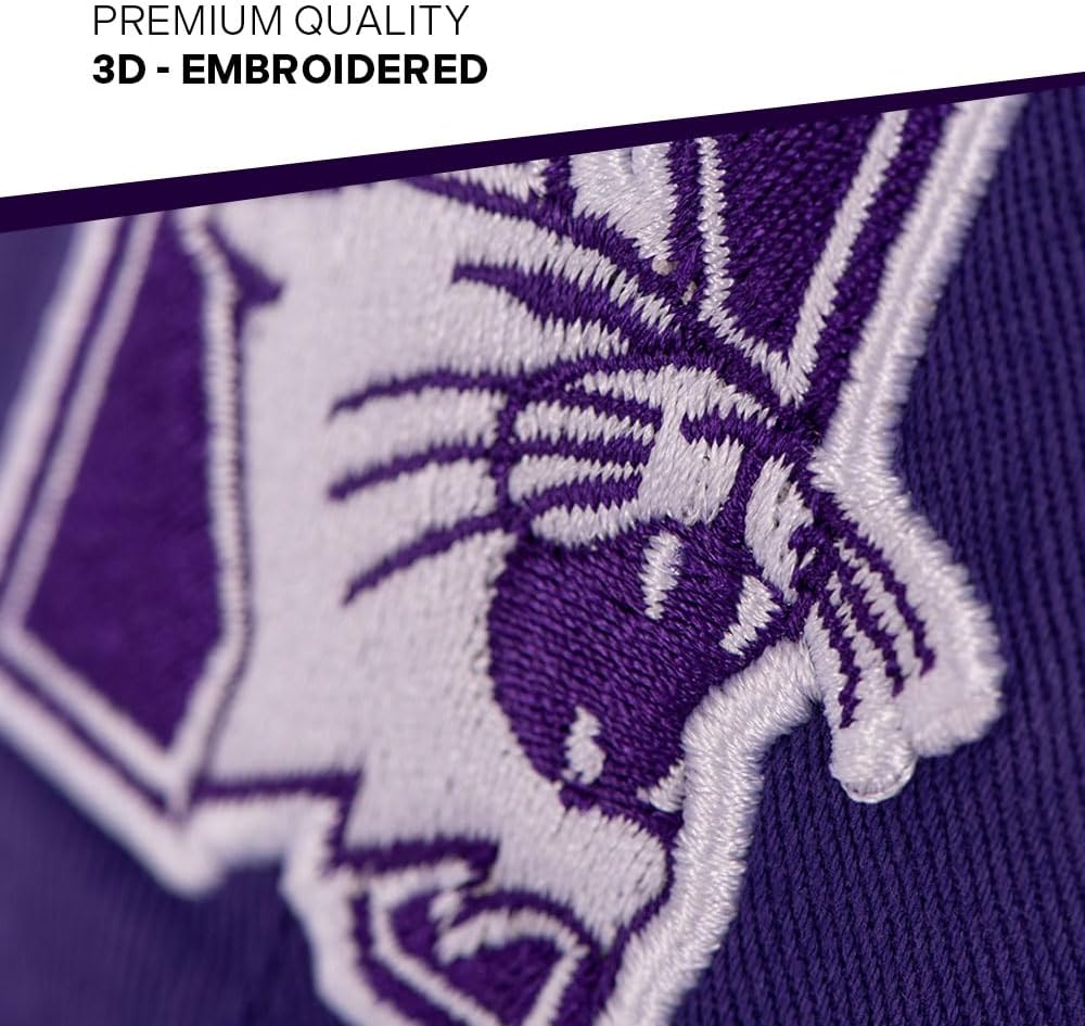 Desert Cactus Northwestern University Baseball Hat NU Wildcats Brimmed Embroidered Hats Cap Adjustable Cloth Strap Adult (Style O) Purple