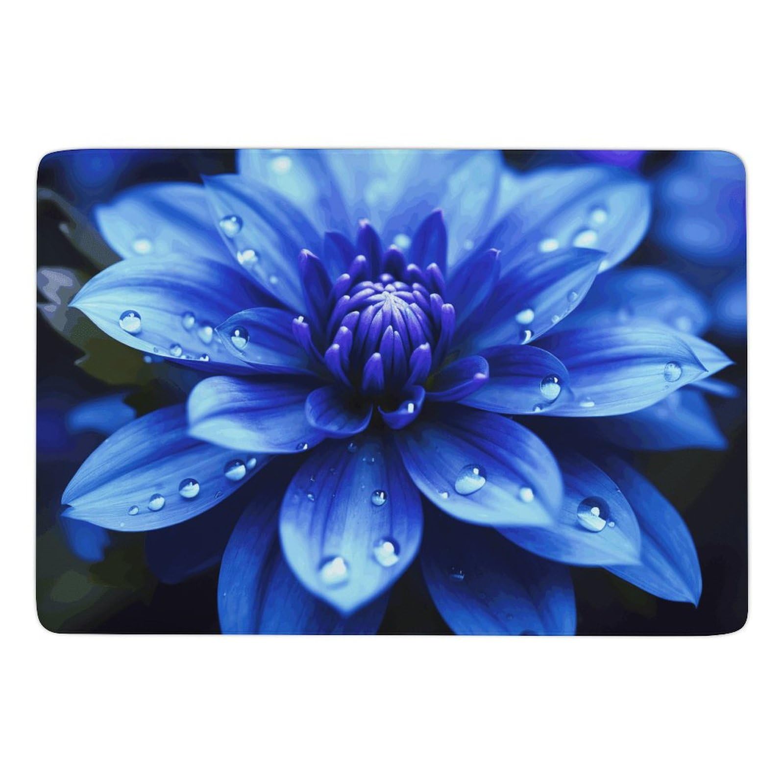 Tapis de bain antidérapant grand format à haute absorption lavable