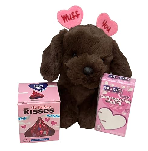 Juego de regalo de San Valentín de 3 piezas Perro de San Valentín Labrador Labradoodle amigo de peluche con 145 onzas de caramelo Hershey Kiss con