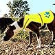 SafetyPUP XD Hund Warnweste, Größen passen Hunde 14 lbs bis 130 lbs Neon Gelb Mittel