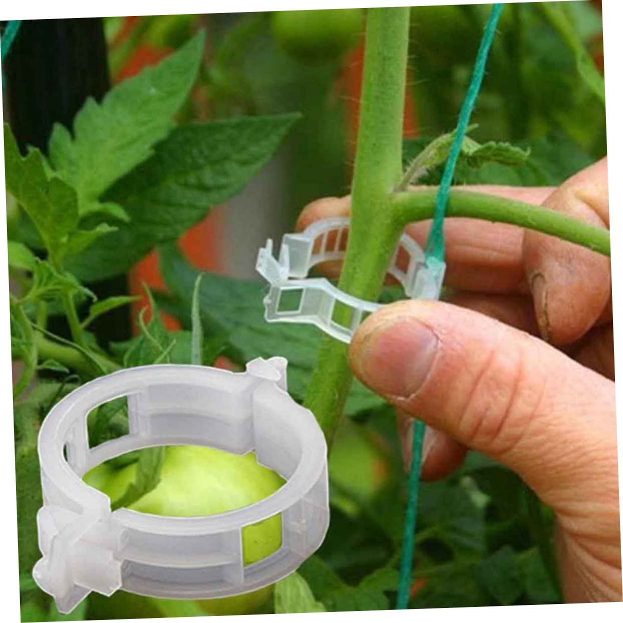 Hemobllo 2 Set Clip Fissaggio Per Piante Da Giardinaggio Da Per Sostenere E Verdure Per Cetrioli E Riutilizzabili E Facili Da Usare 150 Pezzi*2