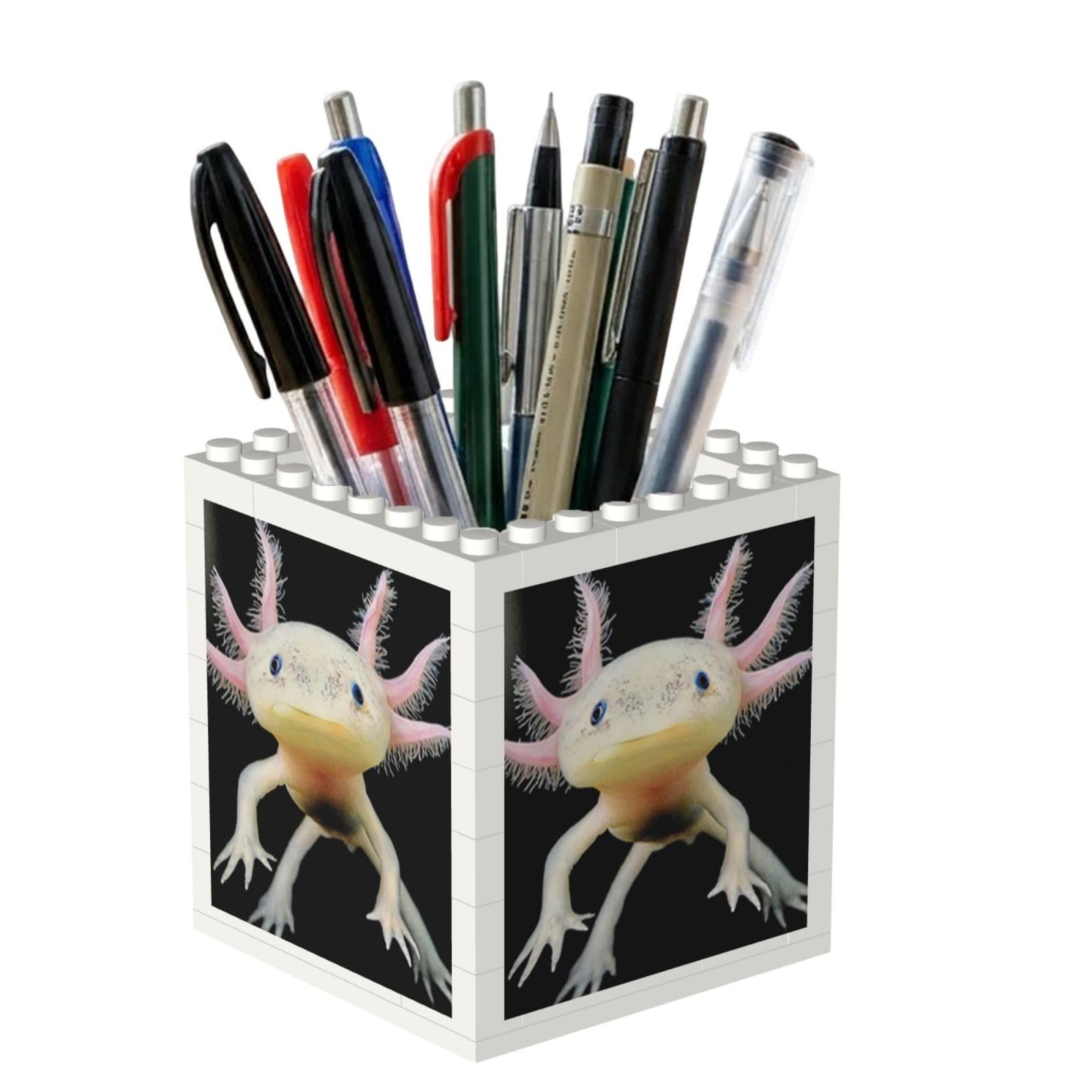 Poadnly Axolotl Print, Pen Pot Pencil Holder for Office Home School, Compact Desk Organiser for Office Stationery