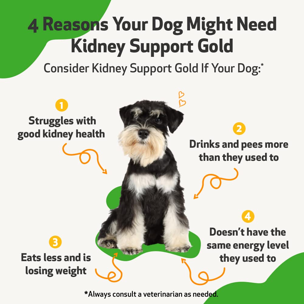 Do Dogs Have One Or Two Kidneys