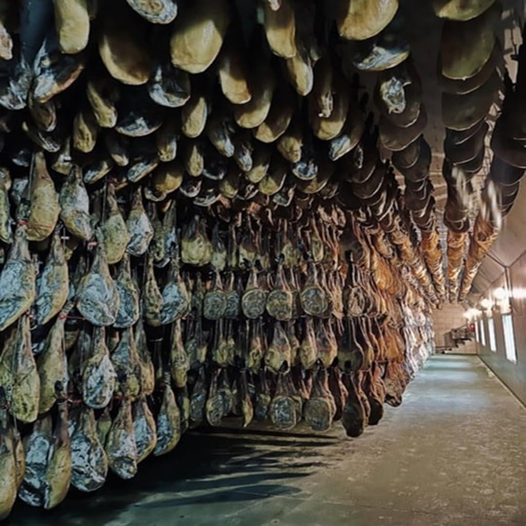 Spalla di Prosciutto Iberico (Paleta Ibérica de Cebo) 4–5 kg | Jamon Iberico stagionato 18+ mesi | Senza additivi | Certificato CERTICAR | Prodotto in Spagna da The Black Hoof