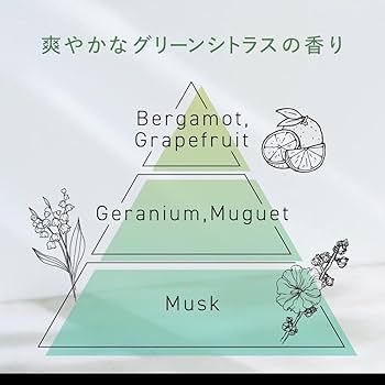 Amazon | サクセス24 フレッシュフィール シャンプー 本体 400ml +