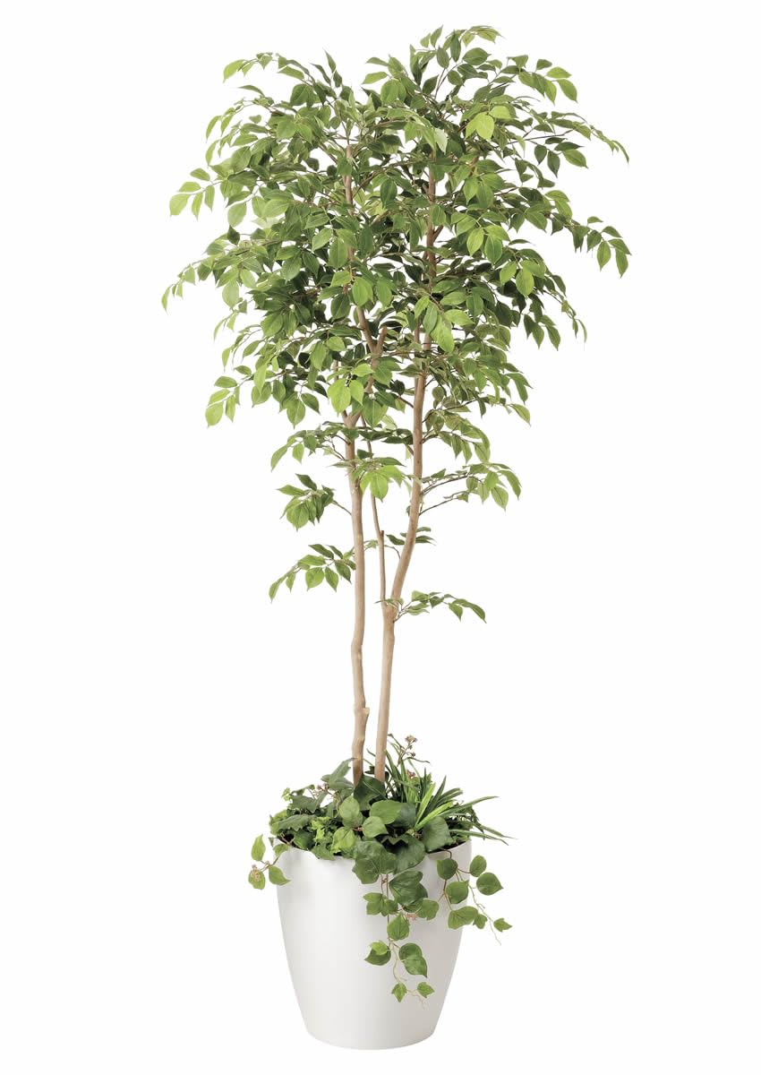 ◇日本製 ◇フェイクグリーン 光の楽園 1.8ｍ植栽付マウンテンアッシュ1.8 Amazon｜光の楽園 フェイクグリーン 造花 マウンテンアッシュ植栽付1.8