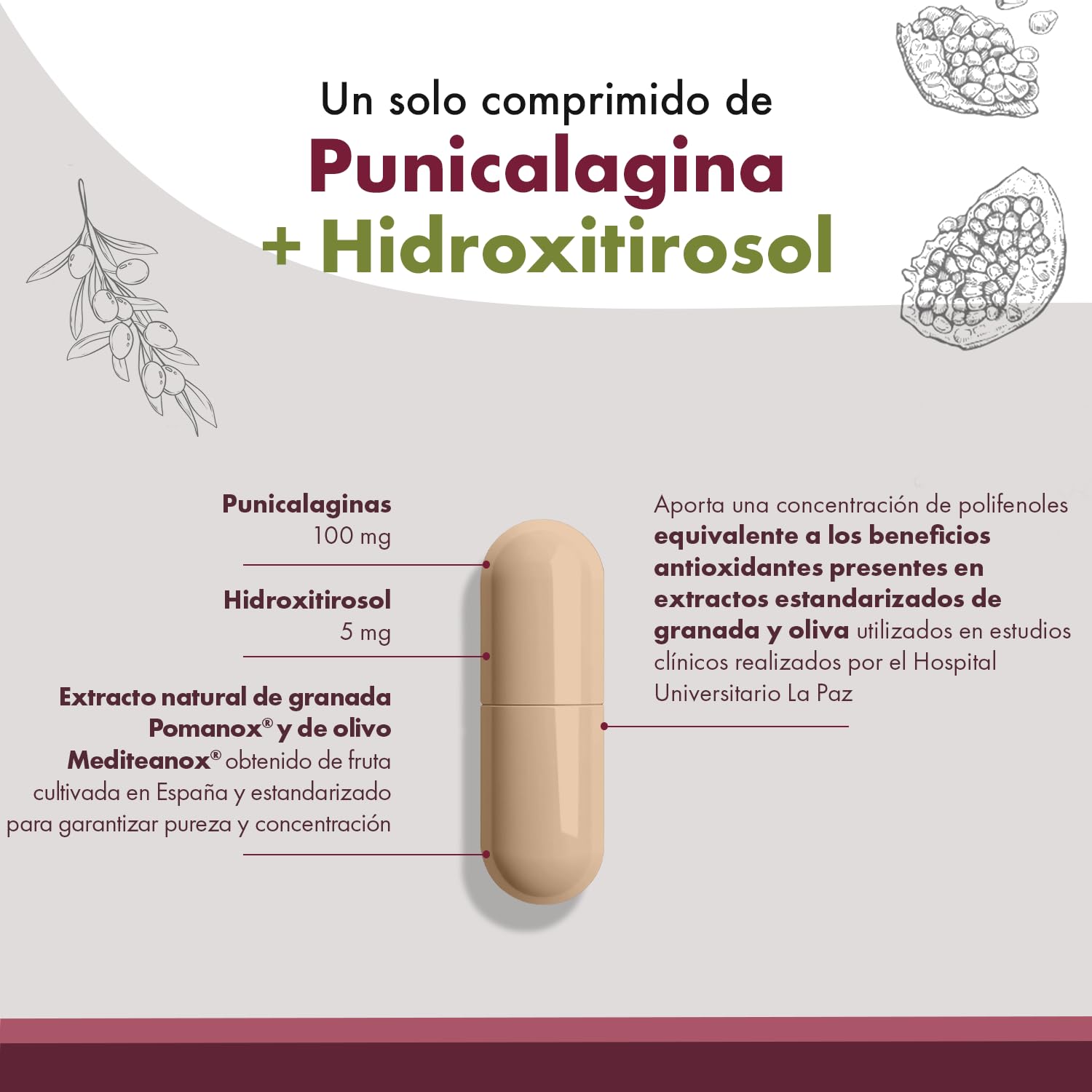 Granatum Plus - Punicalagina e Hidroxitirosol - Extracto de Granada y Oliva Extra Virgen - Antioxidante y Antiinflamatorio - Cuidado de la Piel - Producido en España - 1 Caja 60 Cápsulas