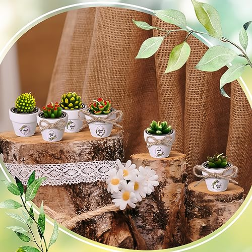 MTLEE Cactus Candle Planter, 18 Pcs Paraffin Wax Succulent Tealight Candles with Mini White Terracotta Clay Pots, for Party Favor, Fiesta, Birthday, Wedding Decor, Indoor, 1.57x1.57 inches - Image 7
