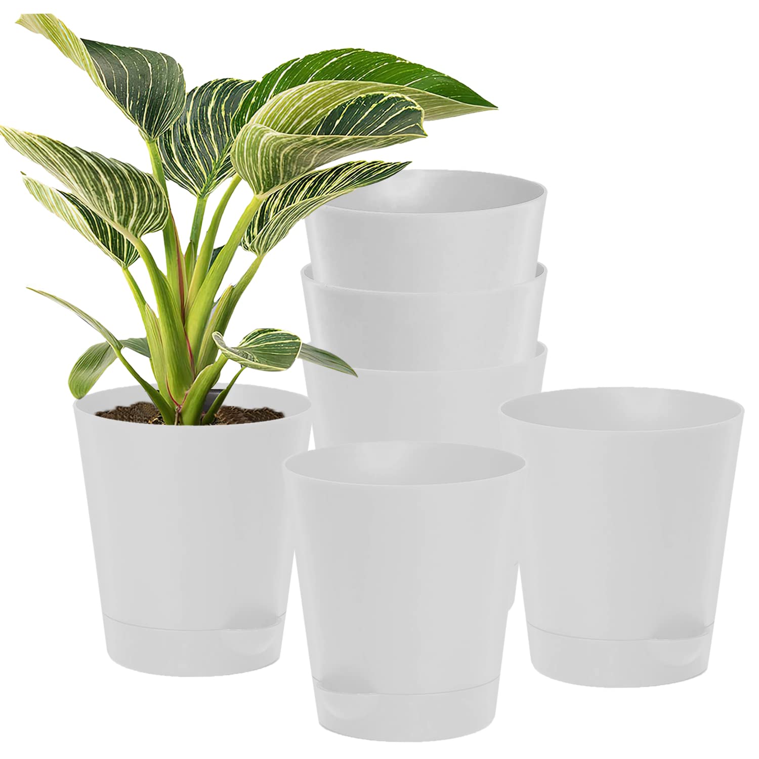 Kuber Industries Plastic Titan Pot|Garden Container for Plants & Flowers|Self-Watering Pot with Drainage Holes,6 Inch,Pack of 6 (White) (B0BBLYC3TR) Amazon Price History, Amazon Price Tracker