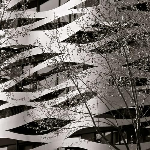 Inside the Psychotherapy Networker Symposium: Trauma, Nervous Systems, and Real Healing