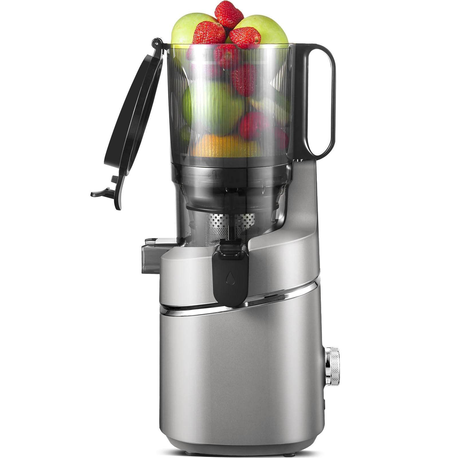 Amzchef 250W Automatischer All-In-One Entsafter- Grau