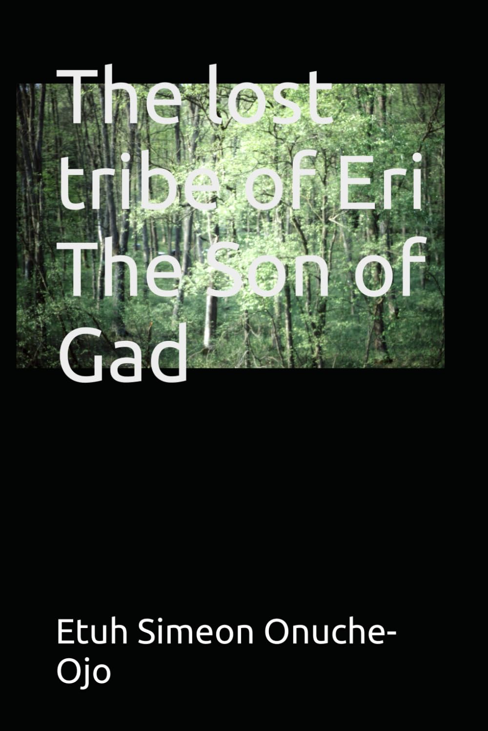 THE LOST TRIBE OF ERI THE SON OF GAD