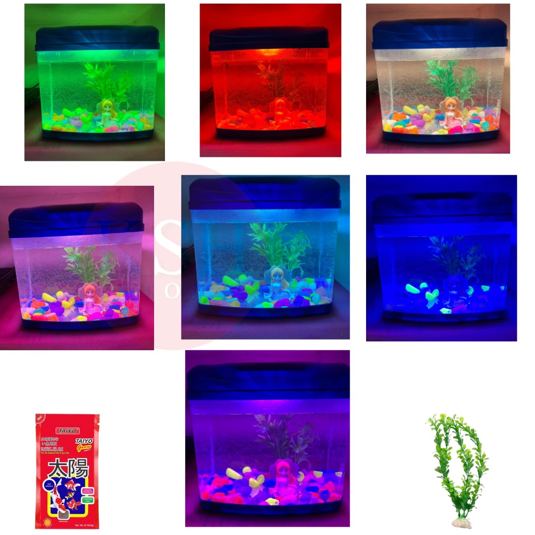 KSH Store- Big Mini Aquarium with 7 Colour Light,Filter 4W,Plant,Fish Food 50G Breeding Tank for Betta Fish. Suitable for Home Decoration, Office,Desktop and Kitchen Refrigerator. Colour May Vary… (B0D8VGW4HX) Amazon Price History, Amazon Price Tracker