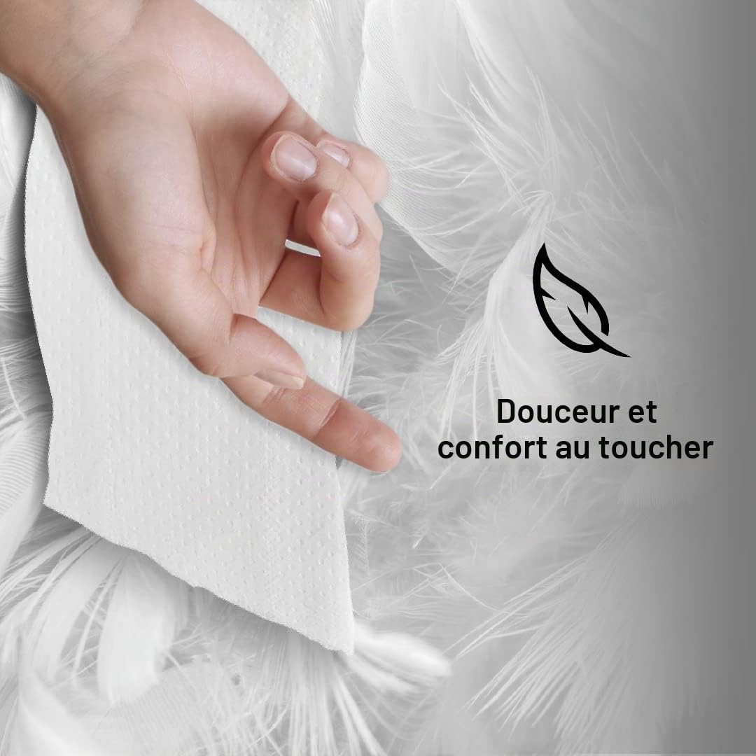 Lot de 18 rouleaux de papier toilette industriel double épaisseur 95 m