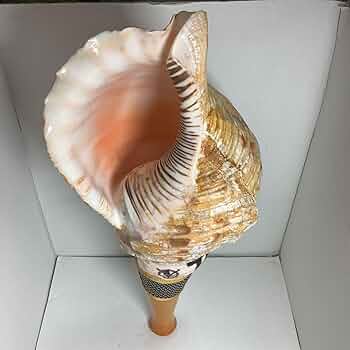 ヤフメリ17・法螺貝・布袋寅泰・complex・日本一心・山伏・麻紐網付・帯紐付 Amazon.co.jp: 法螺貝 布袋寅泰 complex 日本一心 山伏 麻紐網付