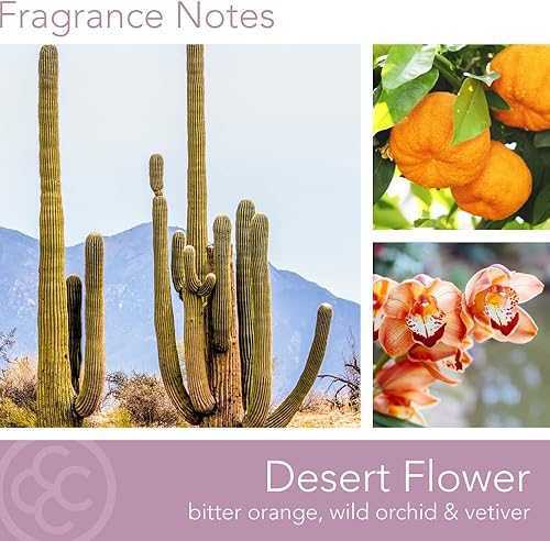 Miniatura 2 de Colonial Candle Desert Flower - Vela en tarro perfumada Desert Collection, Ivory, 3 mechas, 14.5 onzas