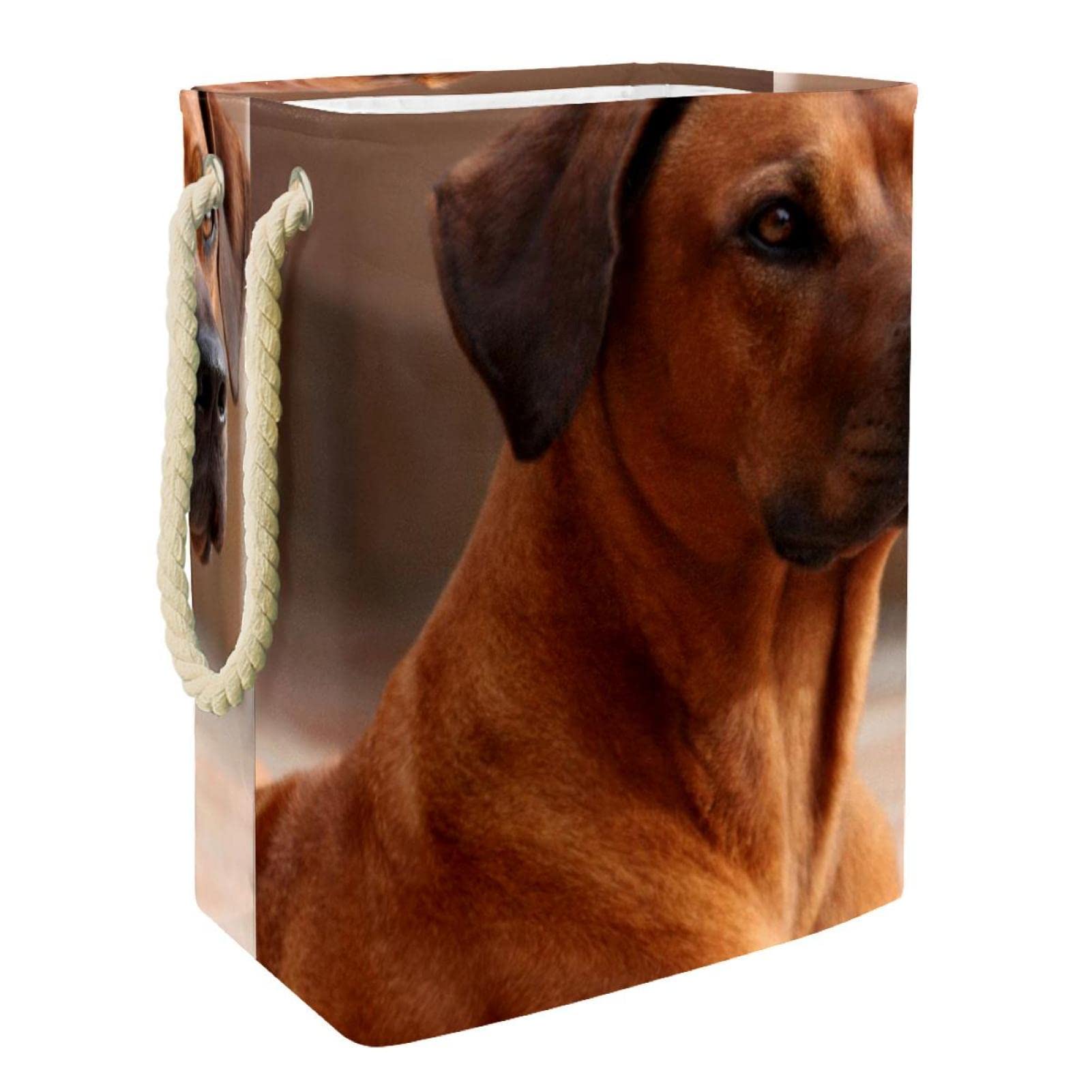 Panier à linge Rhodesian Ridgeback grand format avec poignées durables pour vêtements