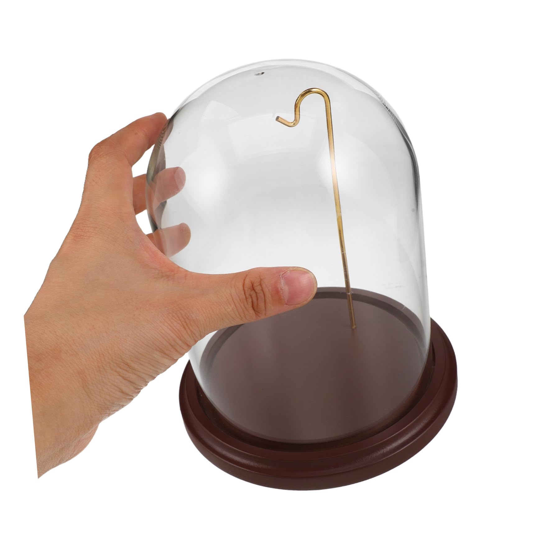 BESPORTBLE Taschenuhr Glaskuppel Vitrine mit Haken und Holzsockel 16x10 Cm