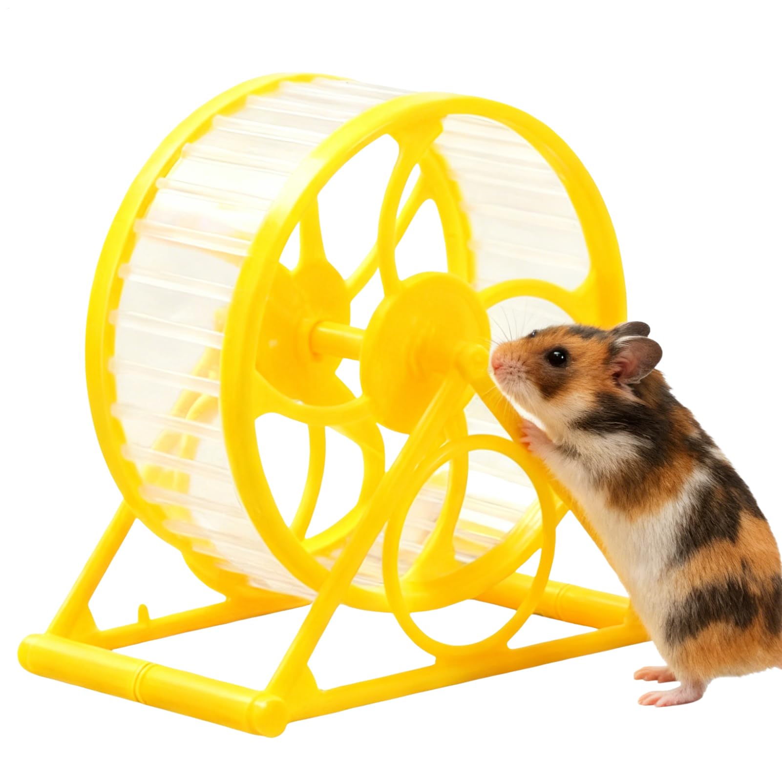 Hamster Running Wheel | Silent Breathable with Stand,Hamster Exercise Wheel for Cage Running,for Small Medium Breeds Golden Bears Bunny Hedgehog Gerbil โ image 1