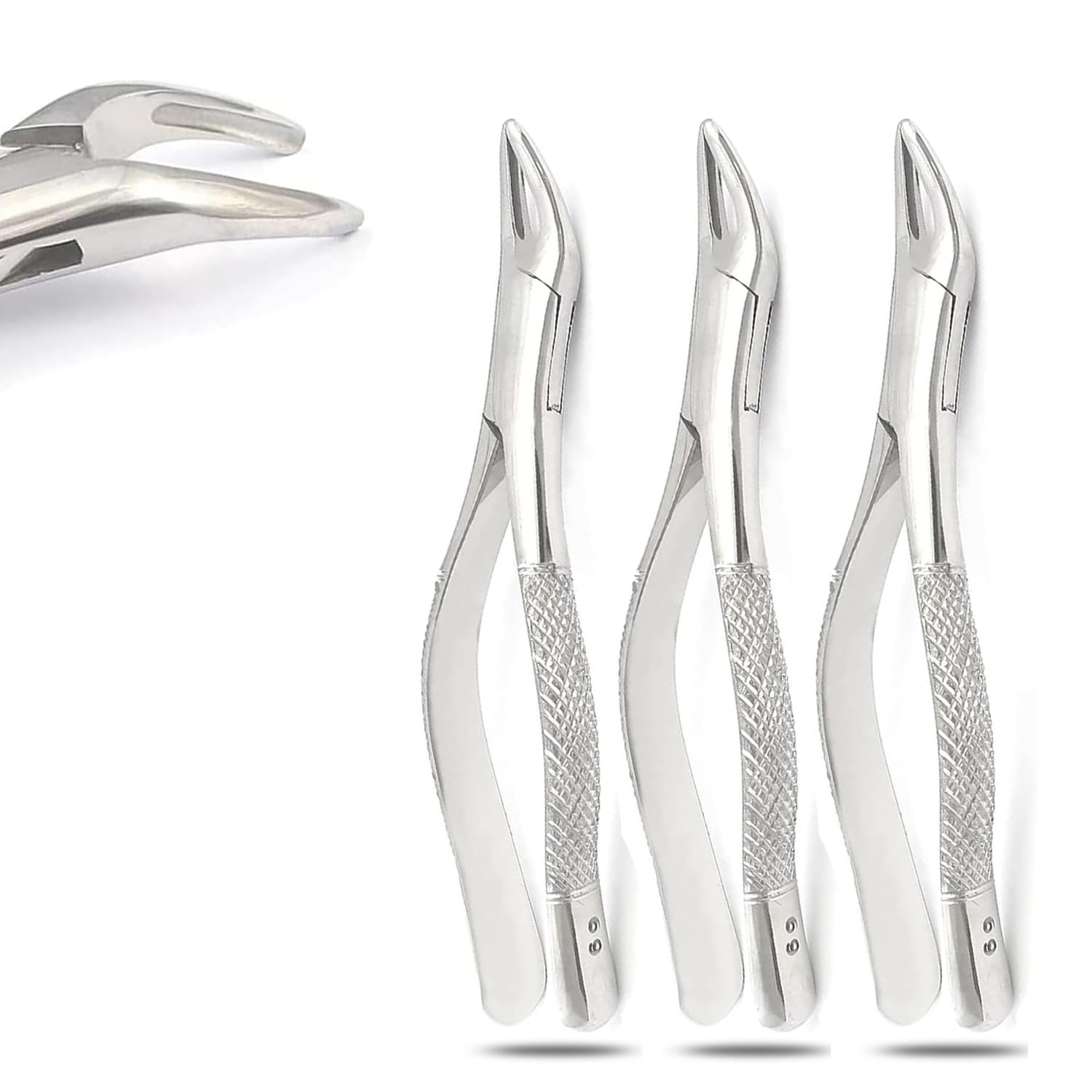 PRECISE CANADA: Set of 3 Dental EXTRACTING Forceps #69 Dental Extraction Instruments
