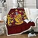 KOQTO Couvertures Throw épais pour Adultes Enfants, Harry Potter Couverture en Molleton Super Soft Sherpa Couvre-lit Couverture pour lit et canapé,1,150 * 200CM