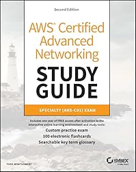 Amazon | CompTIA PenTest+ Study Guide: Exam PT0-003 (Sybex Study