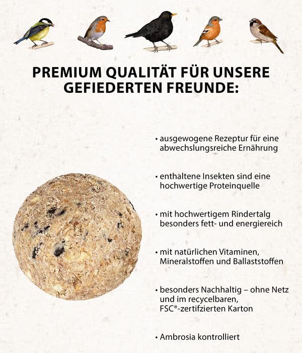 Dehner Natura Premium Meisenknödel ohne Netz, Insektenknödel, ganzjähriges Wildvogelfutter proteinreich / energiereich, 100 Stück je 90 g (9 kg), Karton aus FSC-zertifizierter Produktion