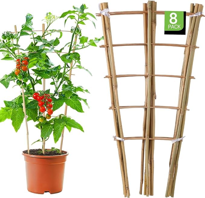 8 Pack Bamboo Trellis for Climbing Plants 24 Inch Natural Garden Ladder Trellis Fan Shaped Plant Support Trellis for House Vegetable Fruit Potted Plants Decor Vine Ivy Growth-image-27