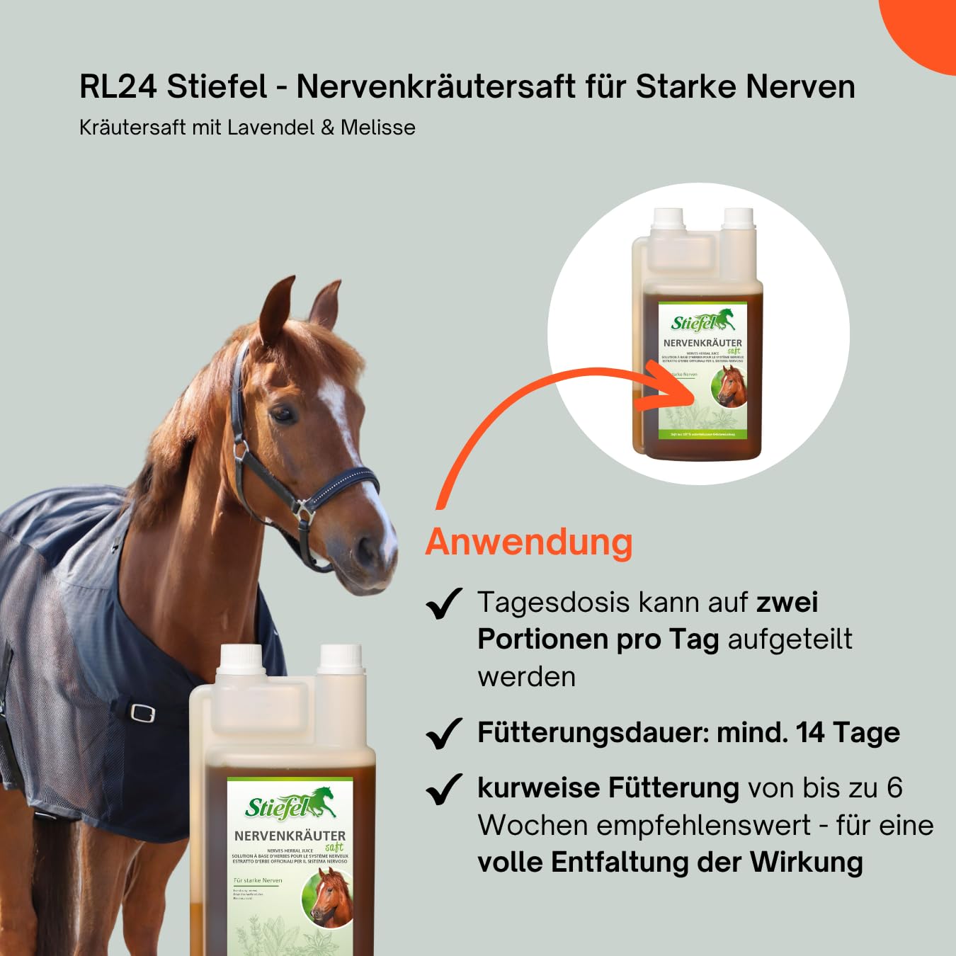 RL24 Stiefel - Nervenkräutersaft für Starke Nerven – 5 x 1000 ml | (5er Set) – Flasche – Kräutersaft mit Lavendel – Ergänzungsfuttermittel für nervöse & gestresste Pferde
