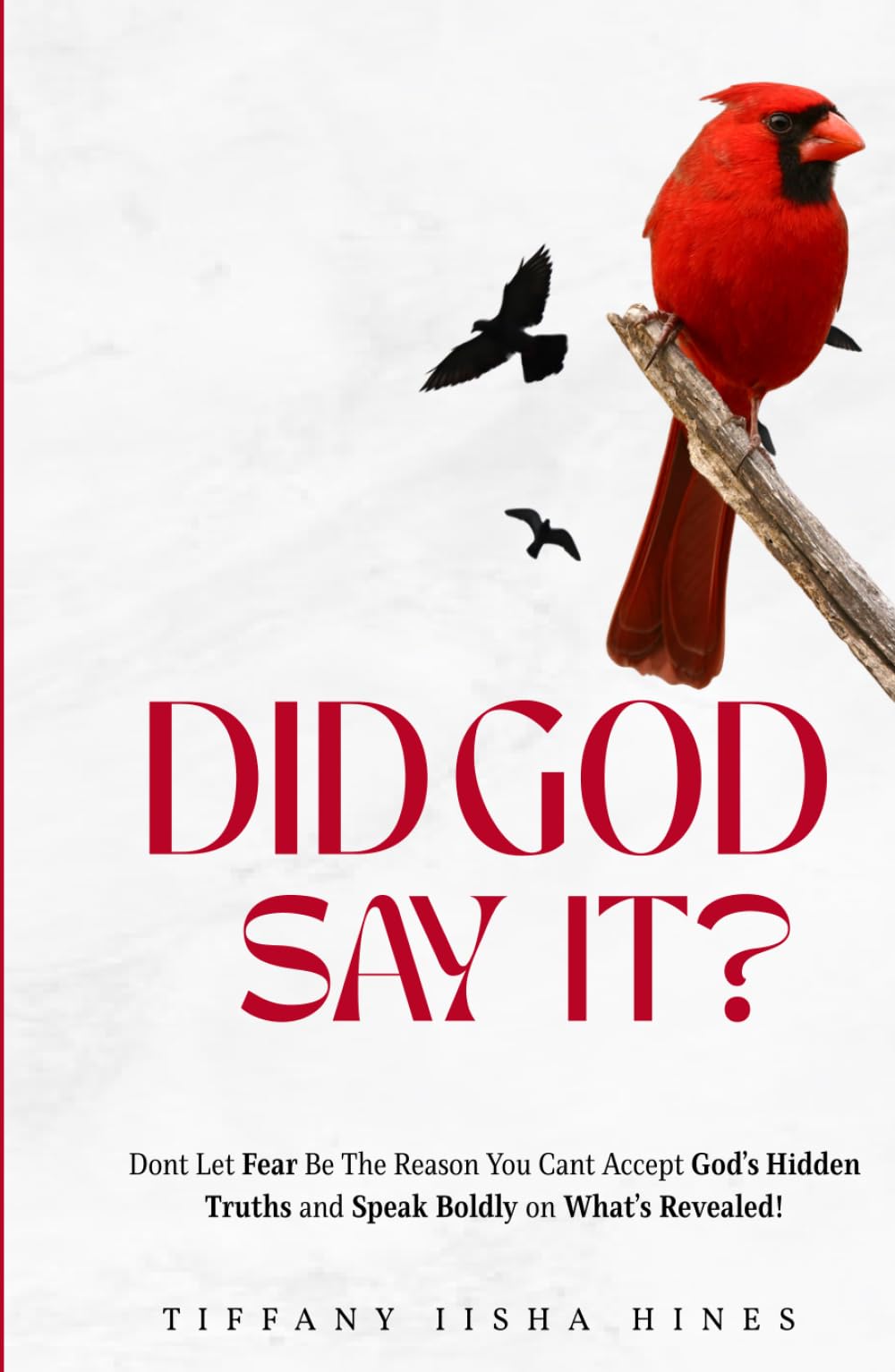 Did God Say It?: Don't Let Fear Be the Reason You Can't Accept God’s Hidden Truths and Speak Boldly on What’s Revealed!