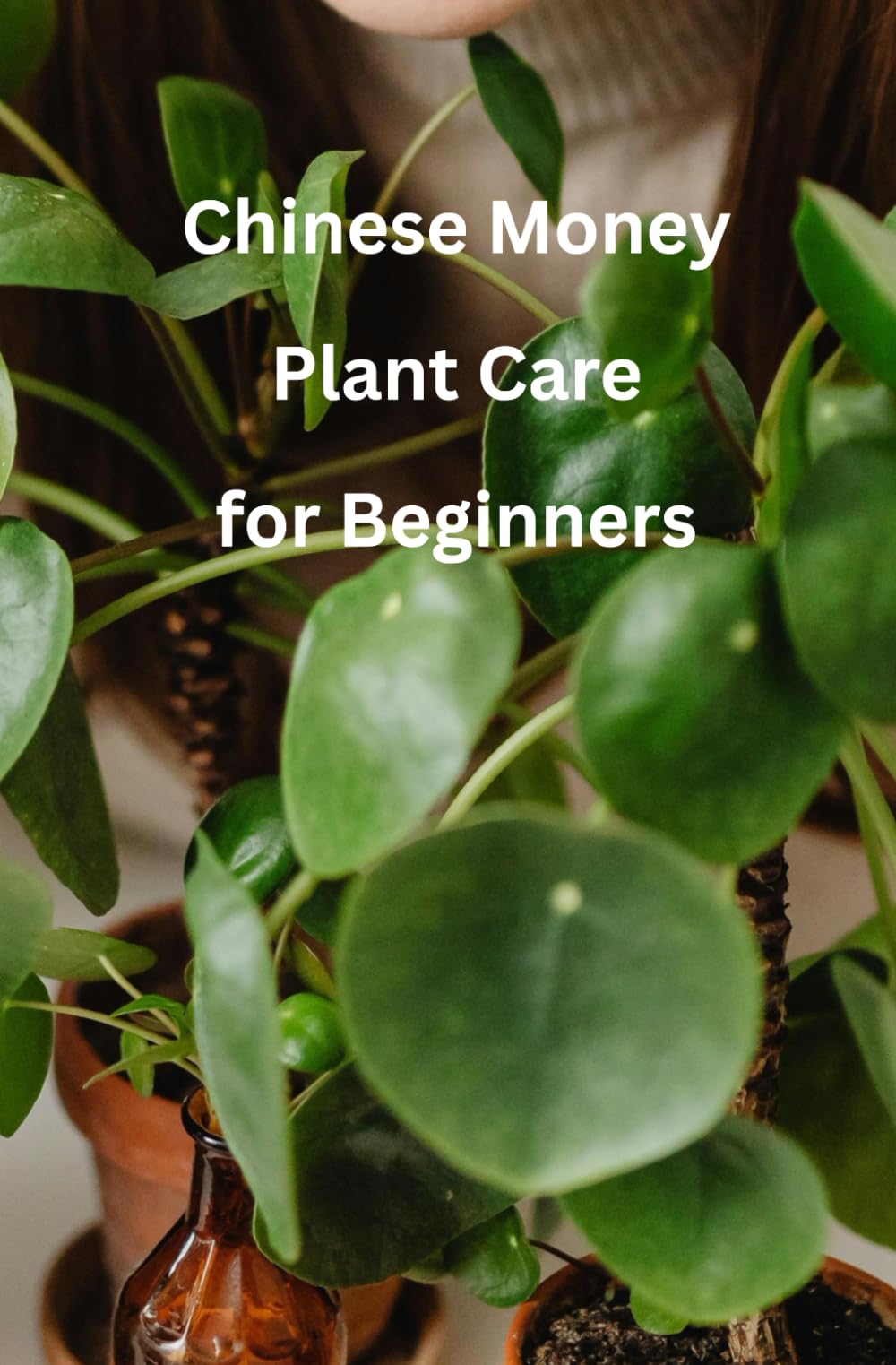 Chinese Money Plant Care for Beginners: An in-depth companion to "The Complete Guide to Choosing, Growing, and Caring for Indoor Plants"