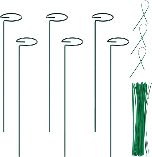 Paquete de 6 estacas de soporte para plantas, anillos de soporte de plantas de 16 pulgadas con 50 lazos para plantas, estacas de soporte de plantas