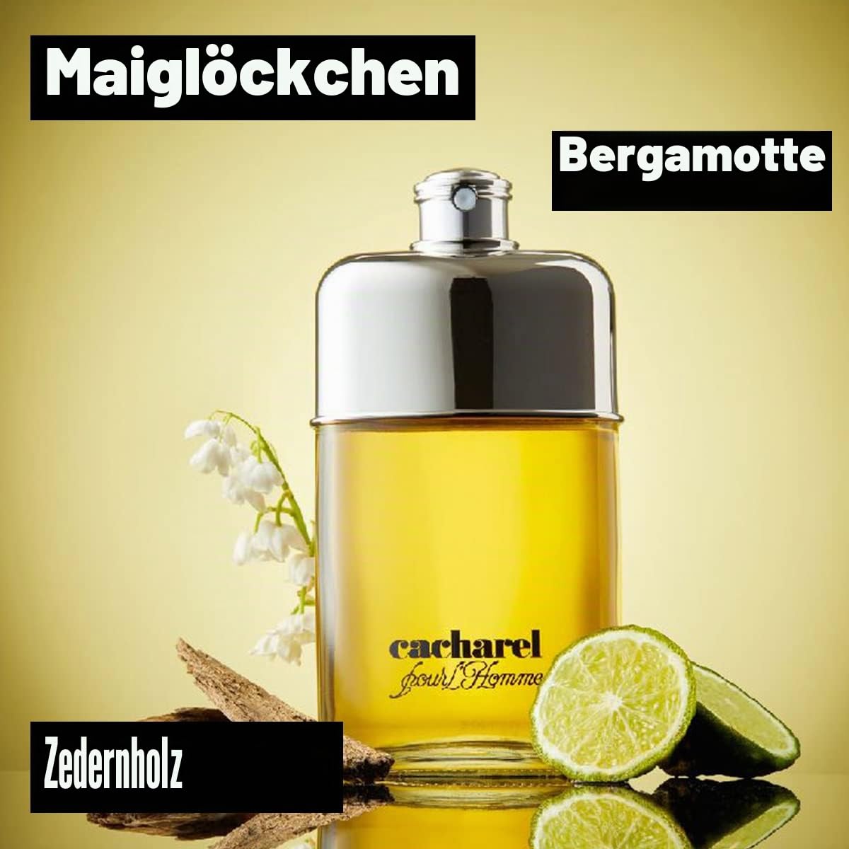 Cacharel Pour L`Homme Parfüm Herren| Eau de Toilette| Männer Parfum| Parfume Men| Herrenparfum| Herren Düfte| Natural Spray| Holziger Duft| 100ml (Packung mit 2)