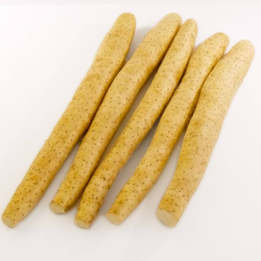 Amazon.co.jp: 長芋【贈答用】L～2Lサイズ 青森県産 長いも