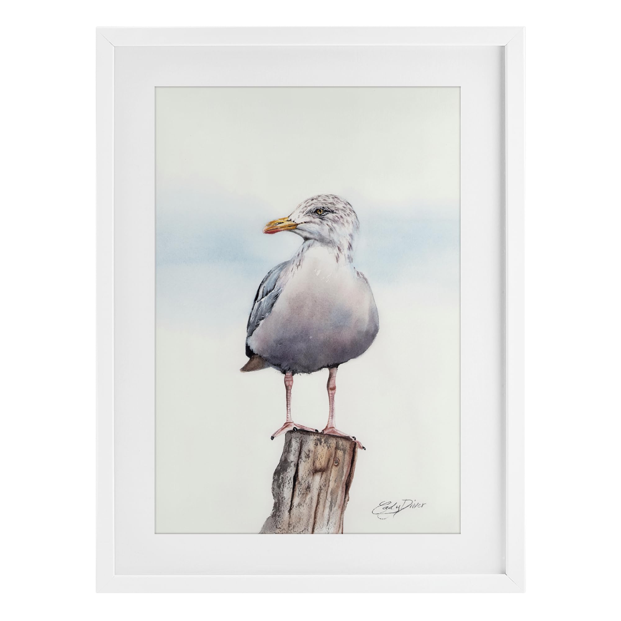 Stupell Industries Seaside Seagull Perch Black Framed Print Under Glass, design by Cady Driver, 23 x 17