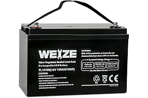 WEIZE 12V 100Ah Group 31 AGM Battery