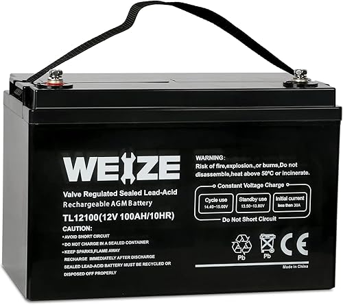 WEIZE Batería de ciclo profundo de 12 V 100 Ah, batería de tamaño de grupo 31 para RV, solar, camping, cabina, sistema marino y fuera de la red,