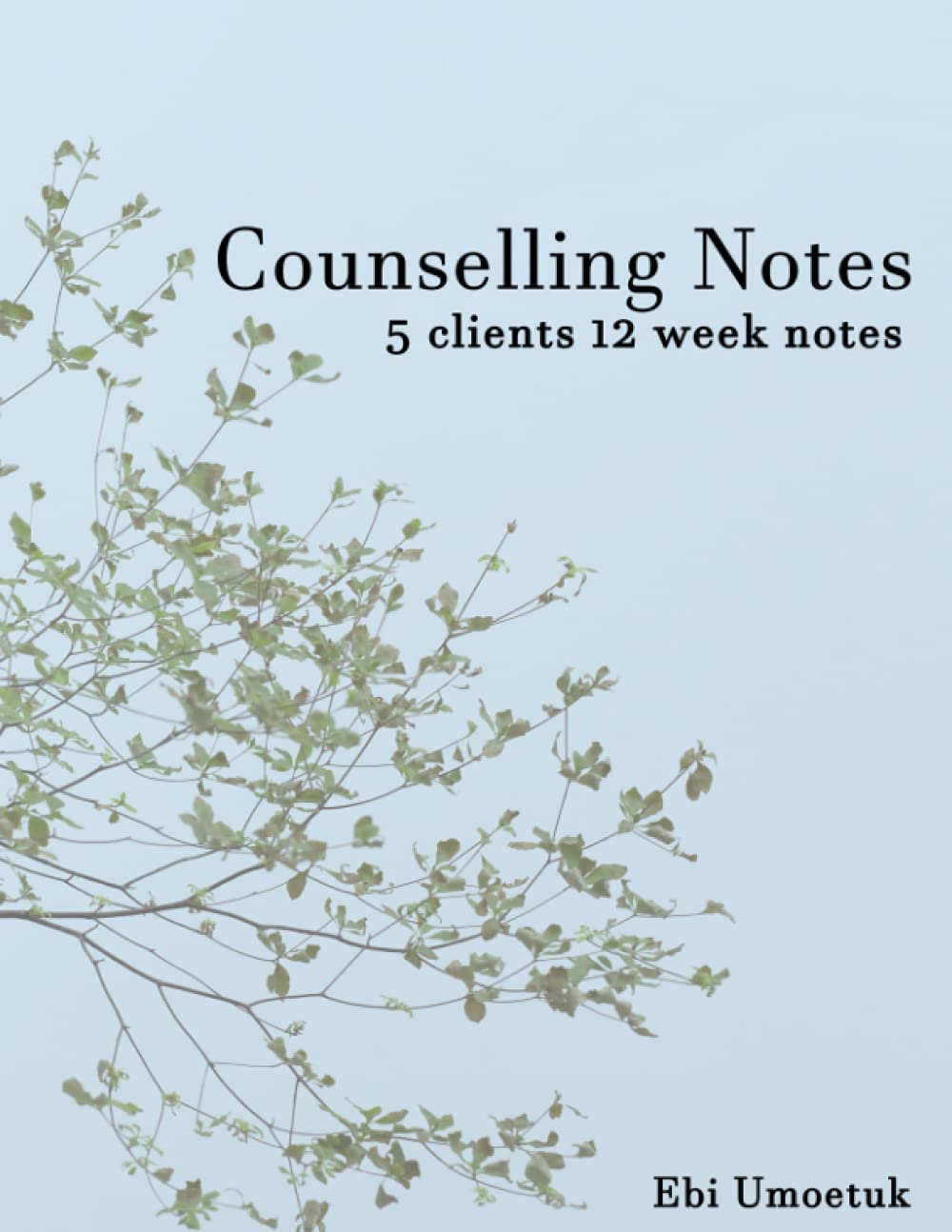 Counselling Notes: 12 Weeks of Notes for 5 Clients