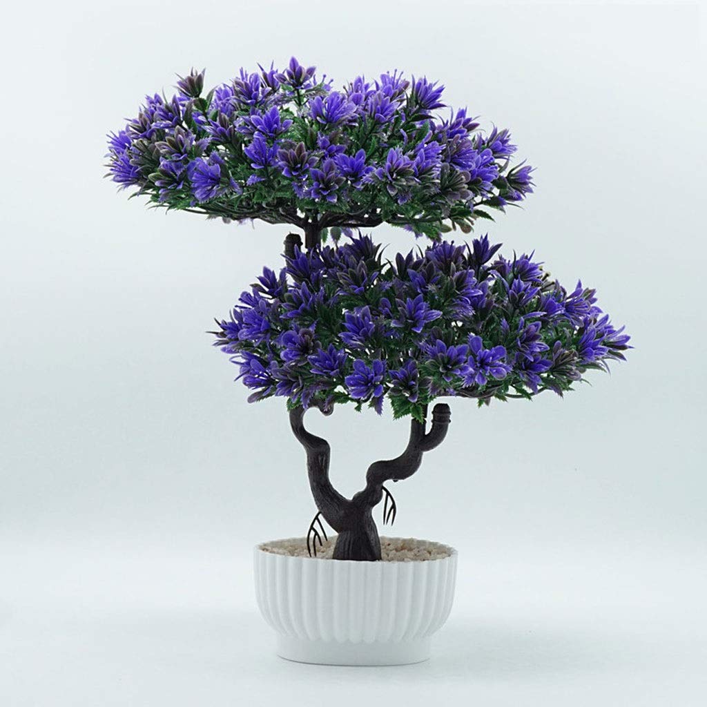 welche erde fr bonsai anzucht Bonsaierde 5 L