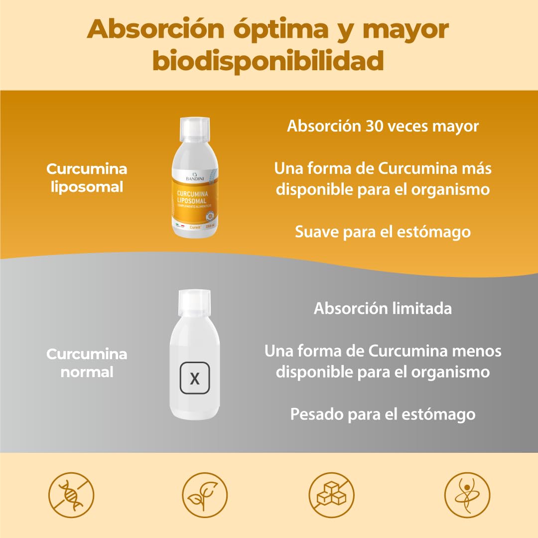 Bandini® Curcumina Cureit® Liposomal líquida 250 ml | 200 mg de curcumin por dosis diaria | Alta Dosis y biodisponibilidad | Suplemento alimenticio Antioxidante natural | Curcuma liposomada | Vegano