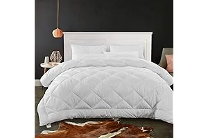 Cozy Queen Size Down Alternative Comforter
