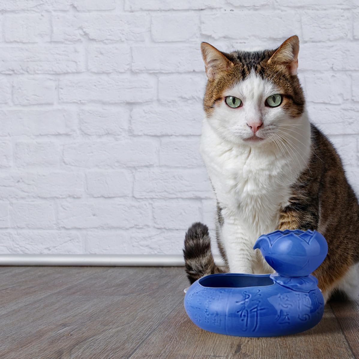 Katzentrinkbrunnen USB Kreativ Zirkulierend, Keramik Lotus Blau