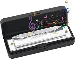 Gaita C maior de 10 furos com capa, para iniciantes e profissionais