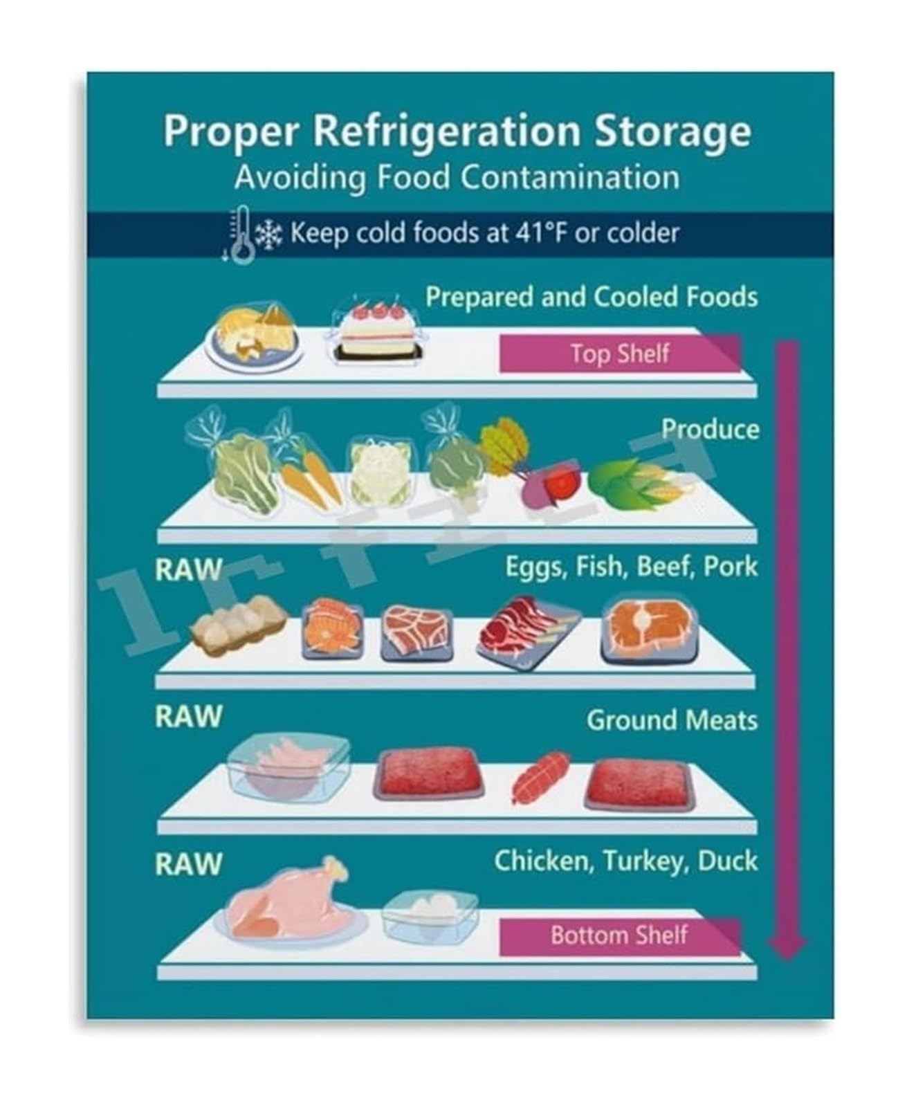 FOPURE Home Kitchen Guide Food Storage Chart Poster for Refrigerator and Freezer Organization Meal Prep Food Tips(Framed,12x18inch(30x45cm))