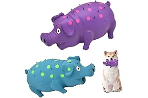 Pig Squeaky Dog Toys, 2-Pack Grunting Pig Dog Chew Toy - Durable...