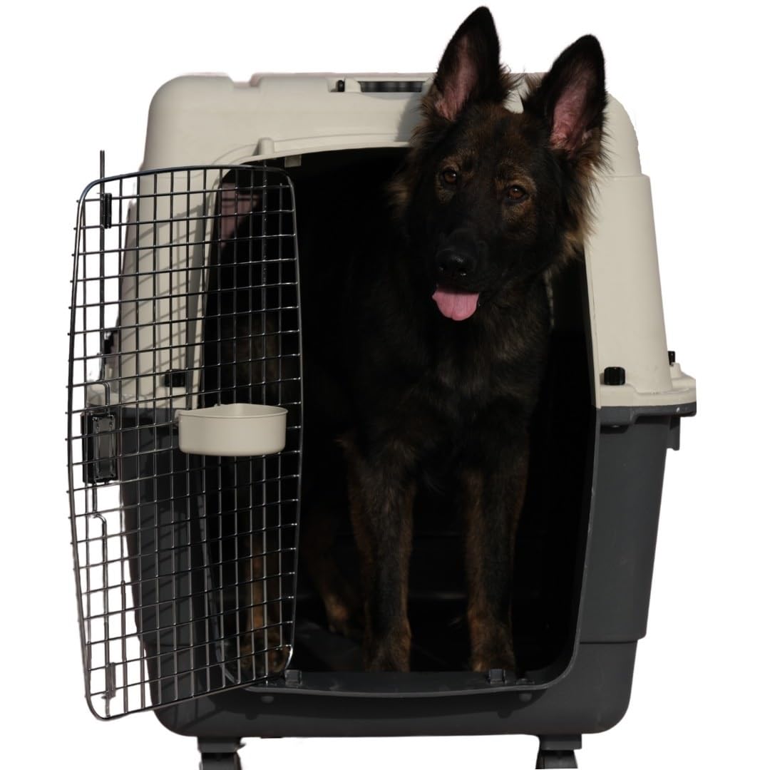 Buy PETARCHI Design Studio for Pets Heavy Duty Flight Crate Carrier