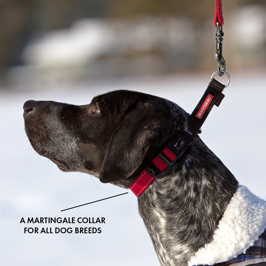 EZYDOG Checkmate Hondenhalsband | Hondenhalsband voor kleine, middelgrote en grote honden, reflecterende hondenhalsband, superieur comfort, zacht neopreenmateriaal, sterk nylon (rood