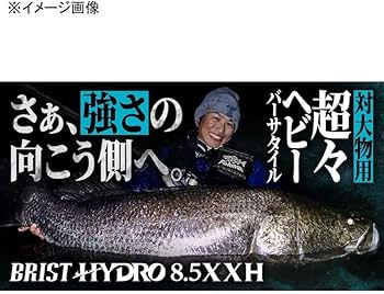 ブリストハイドロ　トミーさま専用 Amazon | フィッシュマン ブリスト ハイドロ 8.5XXH (ベイト/3ピース